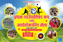 प्यामपेल्ेट